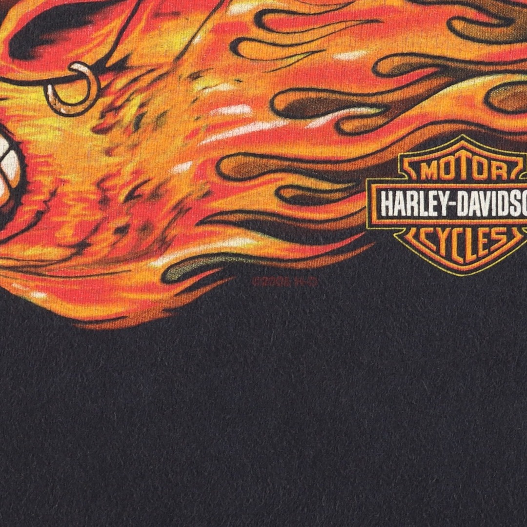 古着 ヘインズ Hanes Harley-Davidson ハーレーダビッドソン 両面プリント モーターサイクル バイクTシャツ USA製 メンズL /eaa354538