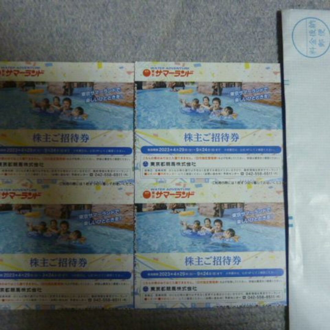 搬入設置サービス付 即日発送 複数可能 3枚 東京サマーランド株主優待券 1DAYパス フリーパス 通販 速達可能翌日到着 10枚 東京サマーランド株主優待券 1DAYパス フリーパス⑤
