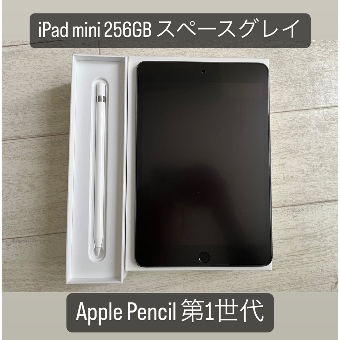 iPad mini5 256GB スペースグレイ のみ