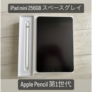 【美品】iPad mini5 256GBスペースグレイ Apple Pencil注意事項