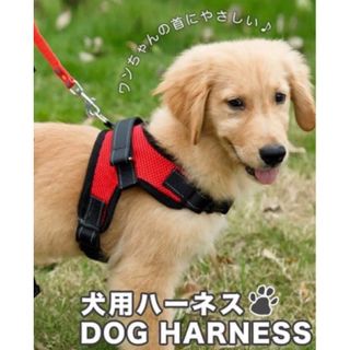 【超激レア！希少！ プレミア品！】早い者勝ち！ わんちゃん 犬 いちご 量産