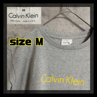 カルバンクライン(Calvin Klein)の【美品クリーニング済】Calvin Klein　Tシャツ　サイズＭ　グレー　半袖(Tシャツ/カットソー(半袖/袖なし))