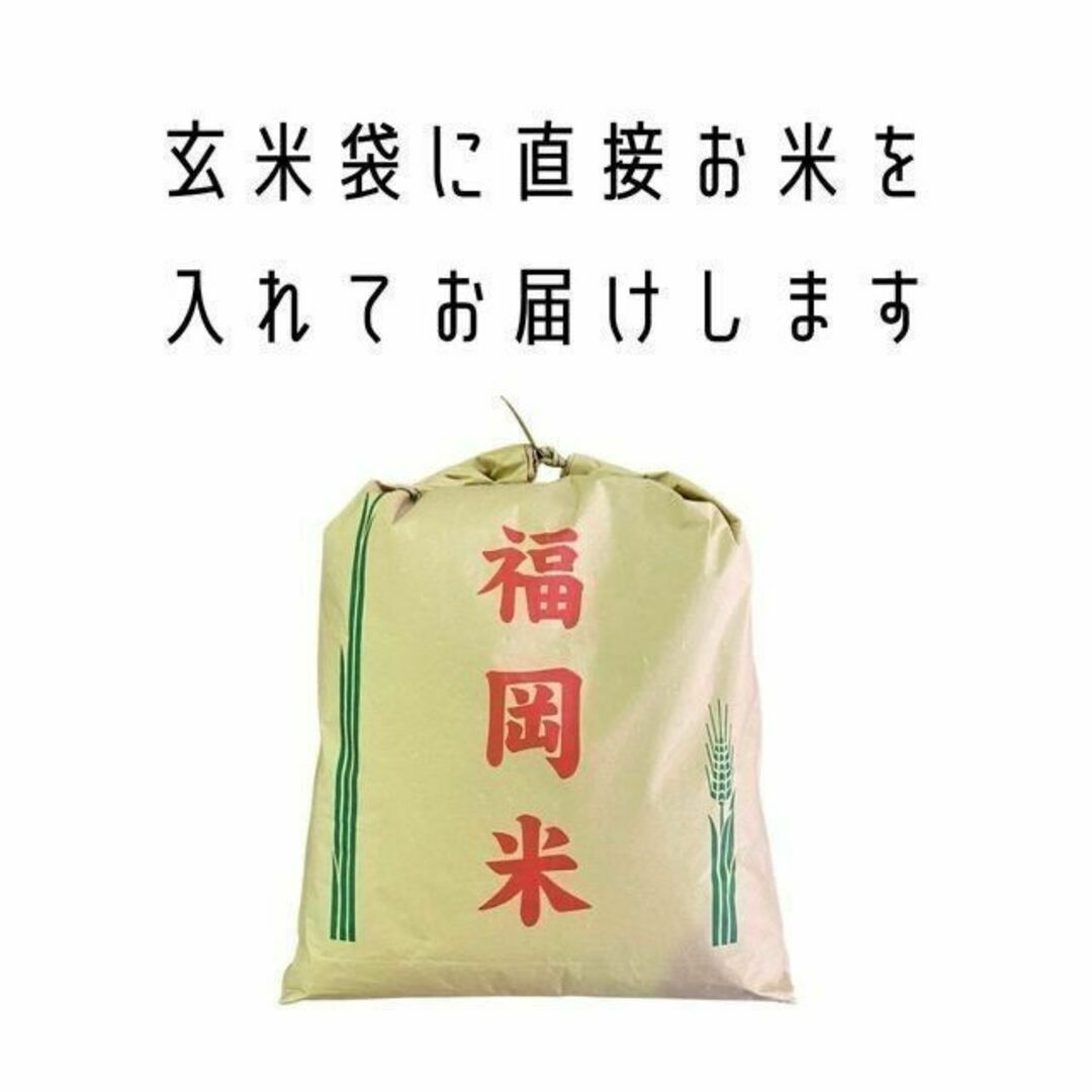 九州限定》元気つくし 玄米30kg 1等米 新米 厳選米 令和4年 お米 - 米/穀物