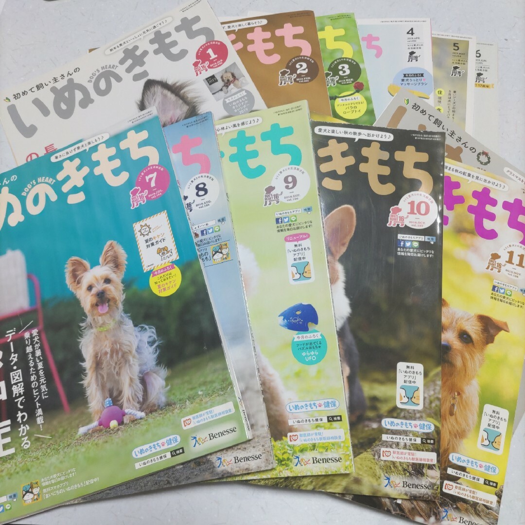 2021年版 いぬのきもち 12ヶ月分 - 雑誌