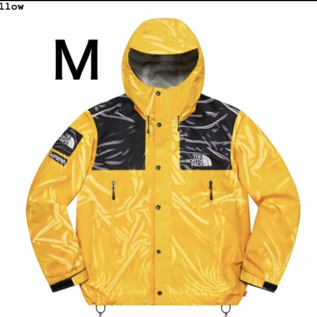 Supreme(シュプリーム)のThe North Face Trompe Loeil Printed  TNF メンズのジャケット/アウター(マウンテンパーカー)の商品写真