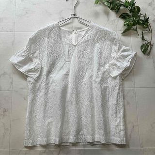 デミルクスビームス(Demi-Luxe BEAMS)の美品　Demi-Luxe BEAMS  フレンチスリーブシャツ　リップル生地(シャツ/ブラウス(半袖/袖なし))