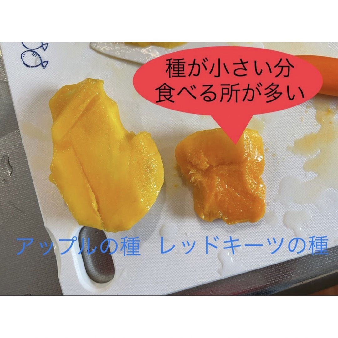 レッドキーツマンゴー　1キロ 食品/飲料/酒の食品(フルーツ)の商品写真