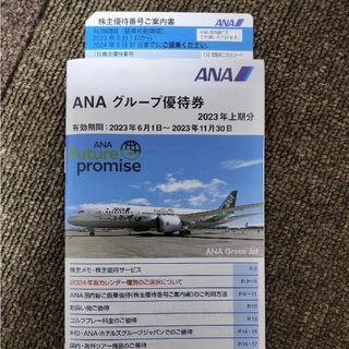 エーエヌエー(ゼンニッポンクウユ)(ANA(全日本空輸))のANA　株主　優待券(その他)