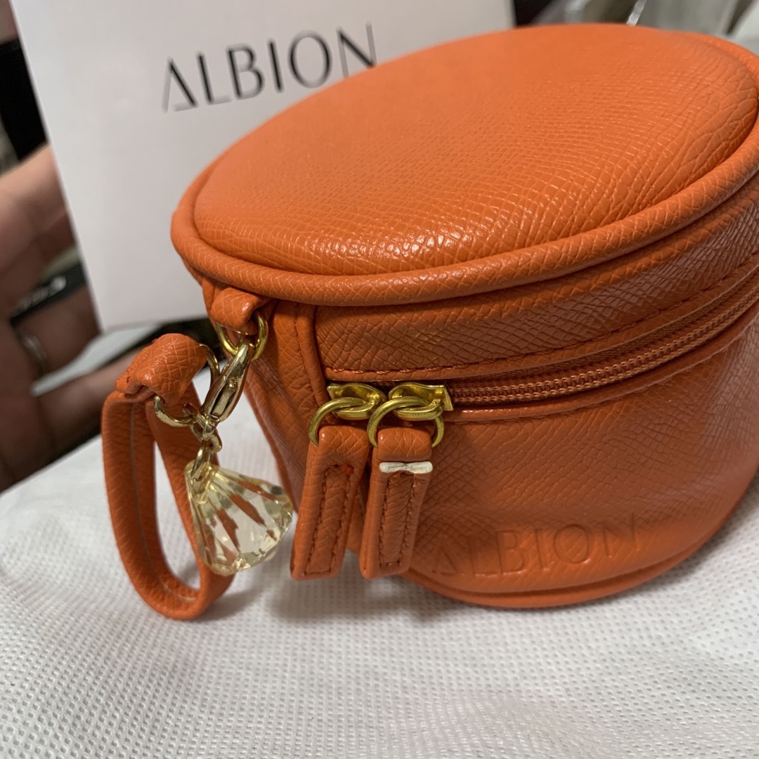 ALBION(アルビオン)のアルビオン　非売品　アクセサリーポーチ レディースのファッション小物(ポーチ)の商品写真