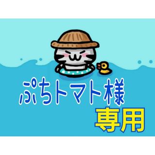 ぷちトマト様　専用(その他)