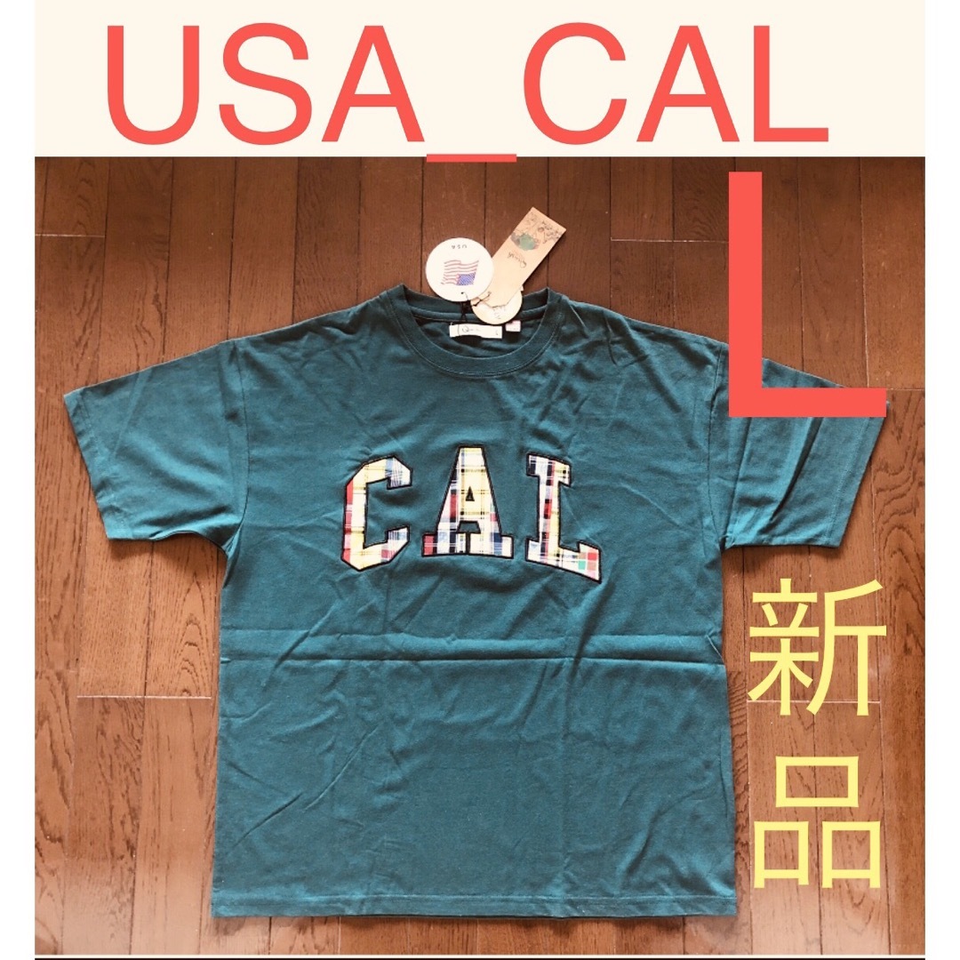 37⭐️新品⭐️ ACLーUSA サイズL  メンズ　半袖 メンズのトップス(Tシャツ/カットソー(半袖/袖なし))の商品写真