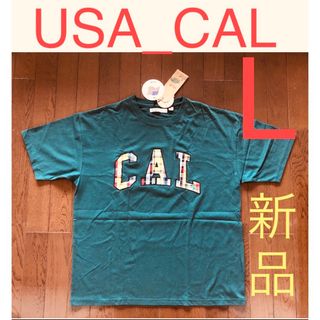 37⭐️新品⭐️ ACLーUSA サイズL  メンズ　半袖(Tシャツ/カットソー(半袖/袖なし))