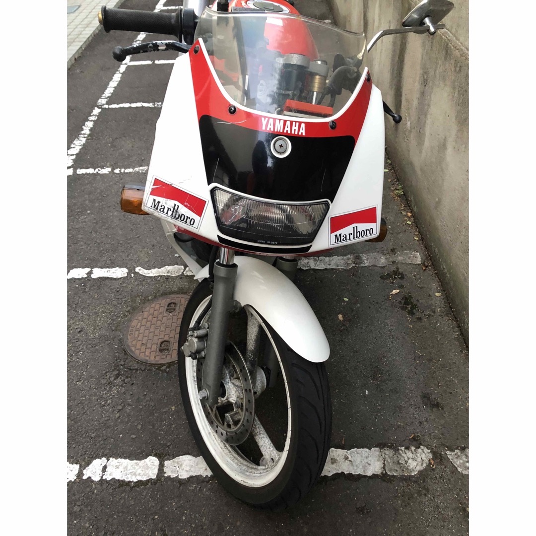 ヤマハtzr 50 実働車　原付