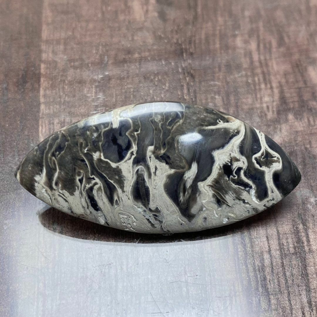 初回限定】 ペトリファイド パームウッド 珪化木 ルース 天然石 化石