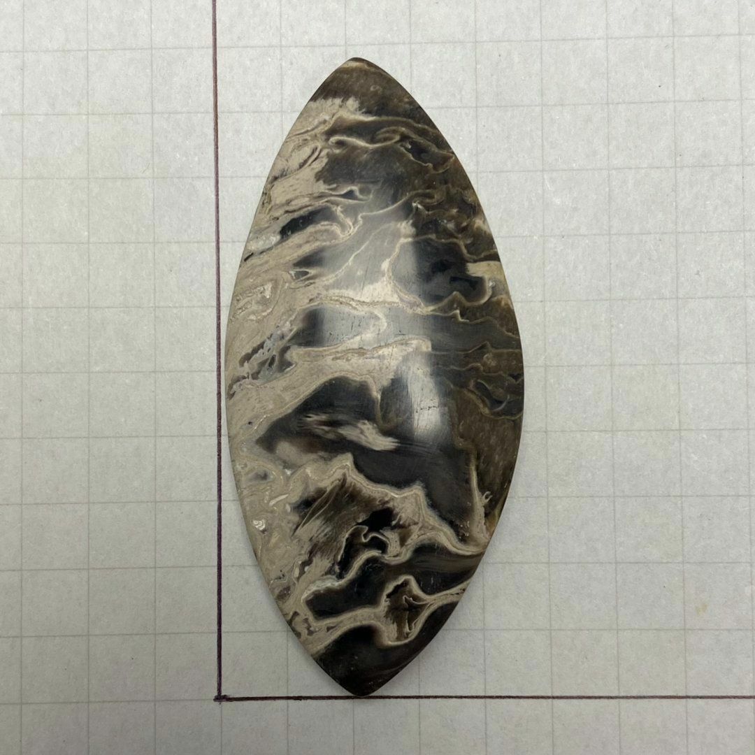 初回限定】 ペトリファイド パームウッド 珪化木 ルース 天然石 化石