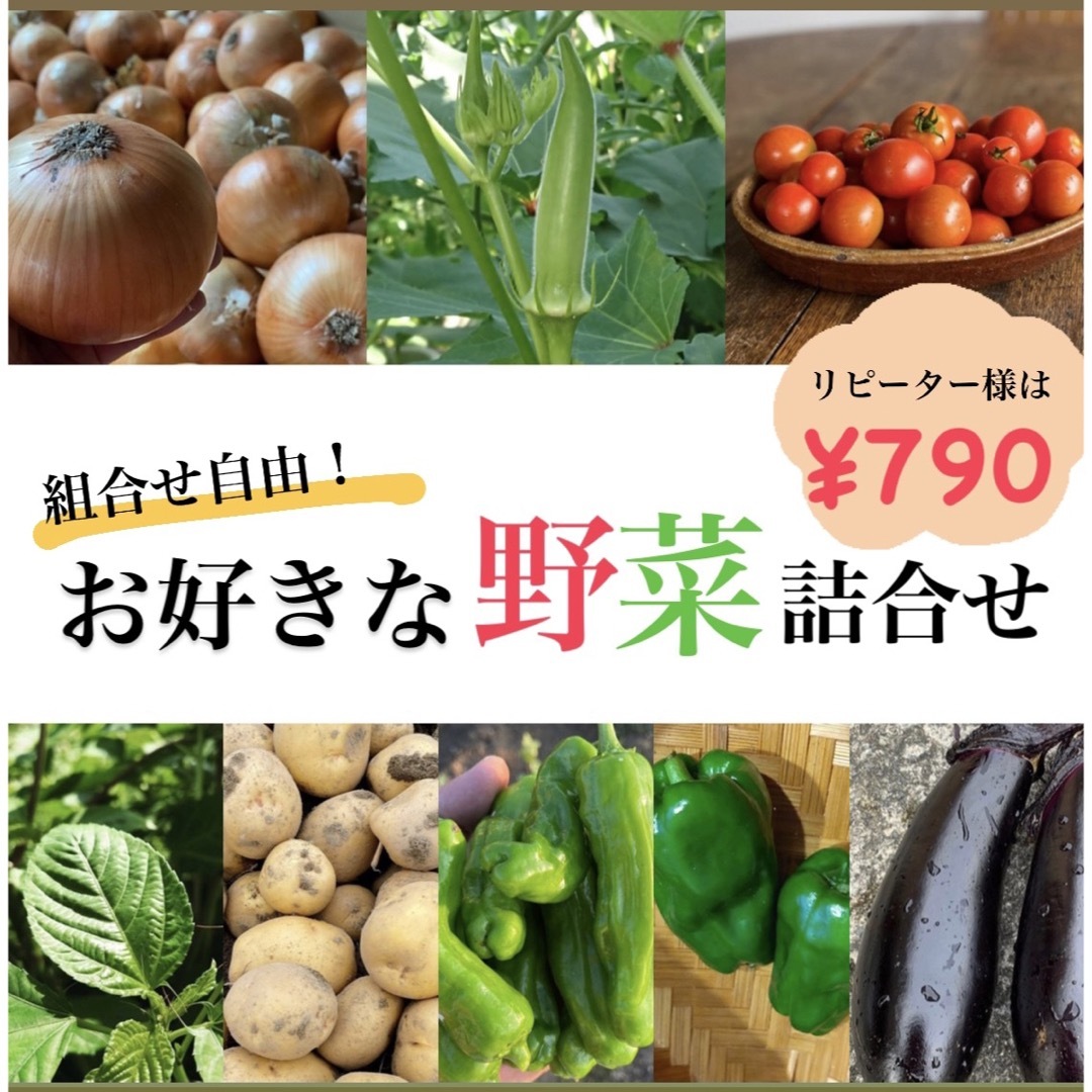 ④【組み合わせ自由！】無農薬野菜詰合せ★宅急便コンパクト 食品/飲料/酒の食品(野菜)の商品写真