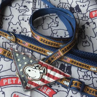 スヌーピー(SNOOPY)の美品ＳＳ【ペットパラダイス】SNOOPY★首輪とリードセット(犬)