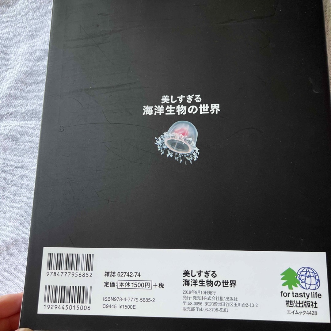 美しすぎる海洋生物の世界 エンタメ/ホビーの本(科学/技術)の商品写真