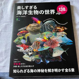 美しすぎる海洋生物の世界(科学/技術)