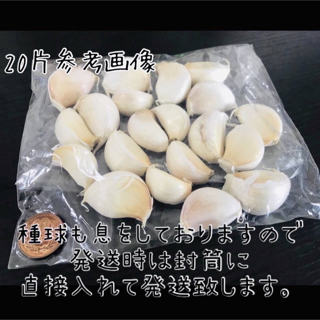 【ニンニク種球】80片【お家時間で家庭菜園】【にんにく】【87store】 食品/飲料/酒の食品(野菜)の商品写真