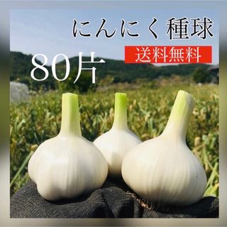 【ニンニク種球】80片【お家時間で家庭菜園】【にんにく】【87store】(野菜)