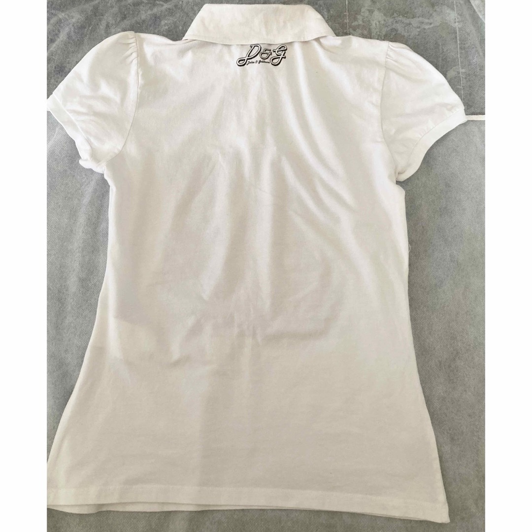 ドルチェ＆ガッバーナ♥️D&G 襟付き Tシャツレディース