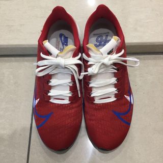 ナイキ(NIKE)のNike AIR ZOOM PEGASUS 37 PRM BRS(シューズ)