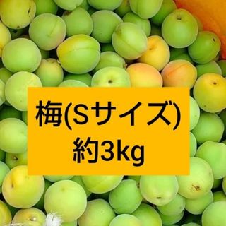 梅(Sサイズ) 約3kg(フルーツ)