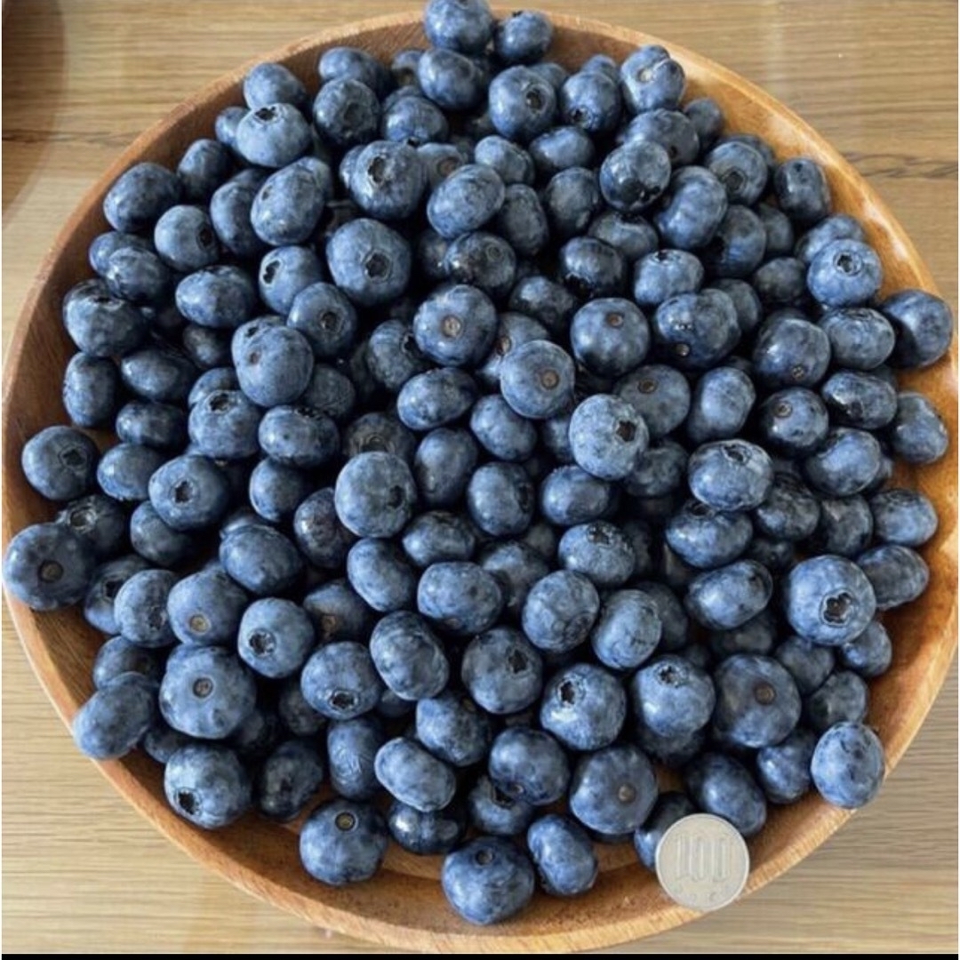 北海道産 完熟生ブルーベリー 無農薬 1.7kg 送料込 フルーツふるさと 果物