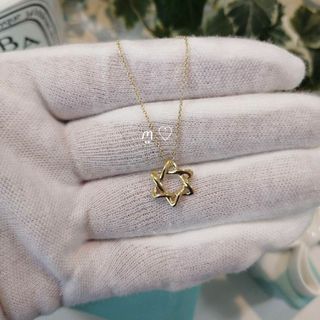 Tiffany & Co. - ティファニー スターオブダビデネックレス ペンダント