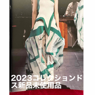 イッセイミヤケ(ISSEY MIYAKE)のイッセイミヤケ2023コレクションドレス新品タグ付き（1352）(ロングドレス)