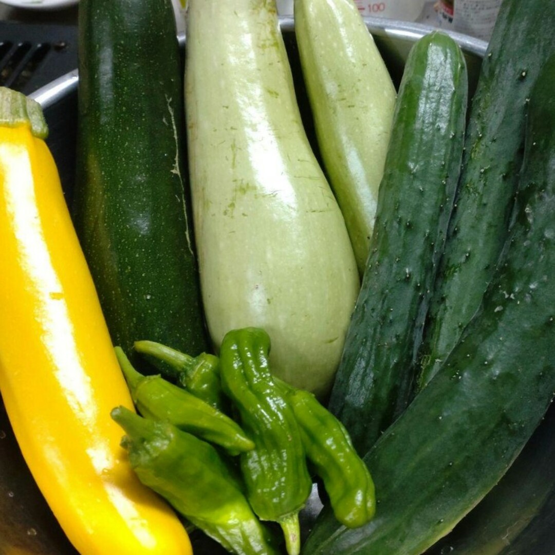 野菜詰め合わせセット　無農薬野菜（60サイズ） 食品/飲料/酒の食品(野菜)の商品写真