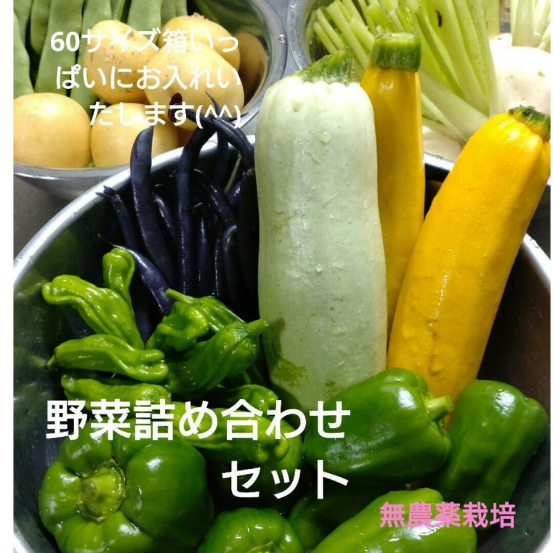 野菜詰め合わせセット　無農薬野菜（60サイズ） 食品/飲料/酒の食品(野菜)の商品写真