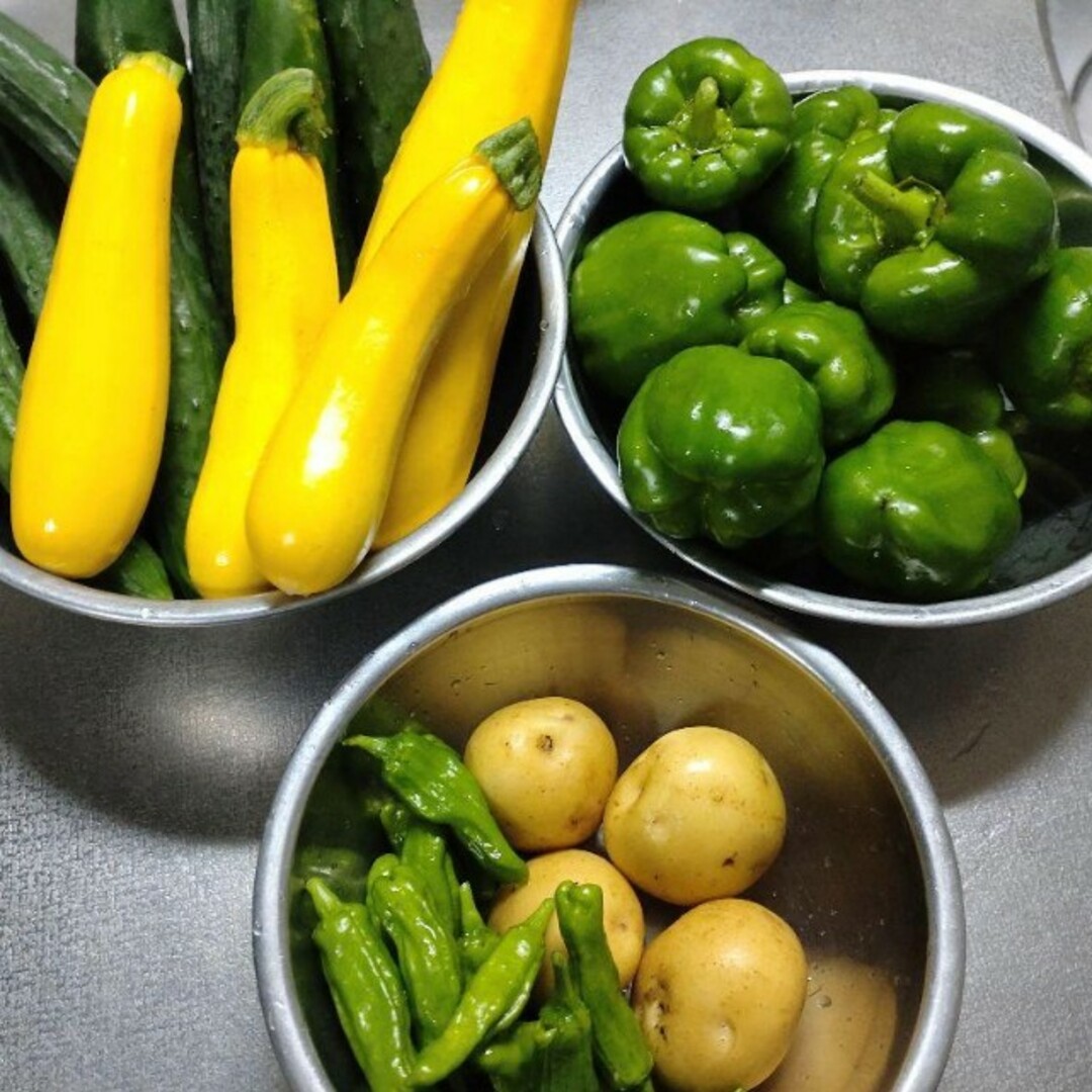 野菜詰め合わせセット　無農薬野菜（60サイズ） 食品/飲料/酒の食品(野菜)の商品写真