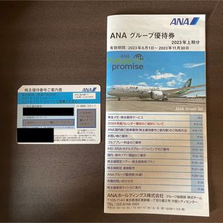 ANA 株主優待券 グループ優待券(航空券)