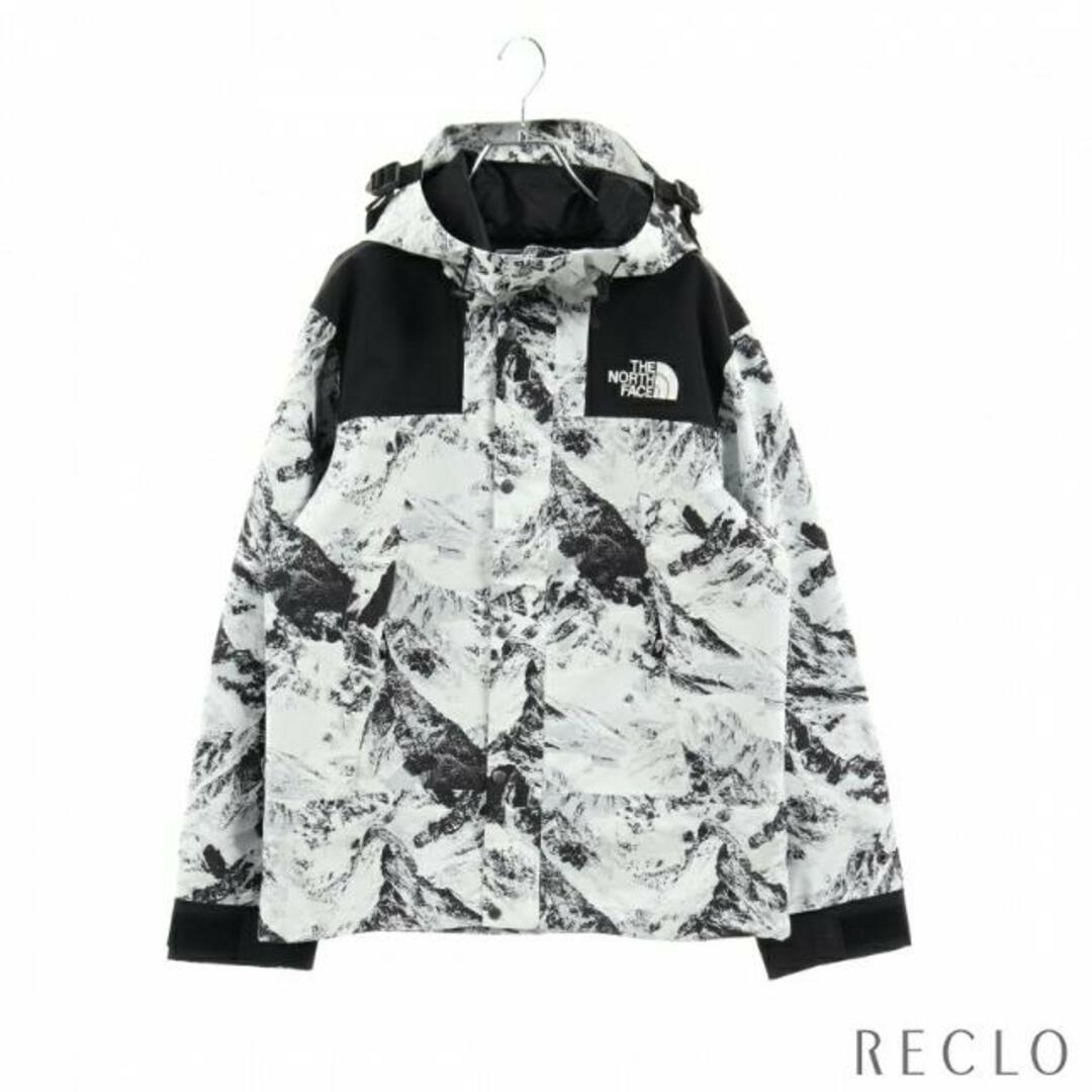 THE NORTH FACE(ザノースフェイス)のNOVELTY ECO GTX MOUNTAIN JACKET マウンテンパーカー ホワイト ブラック グレー フード付き メンズのジャケット/アウター(マウンテンパーカー)の商品写真