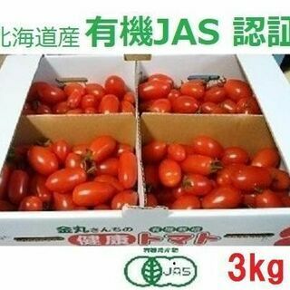 有機JAS 北海道産ミニトマト  (アイコ/ほれまる) セット 3kg
