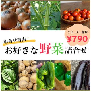 ⑤【組み合わせ自由！】無農薬野菜詰合せ★宅急便コンパクト(野菜)