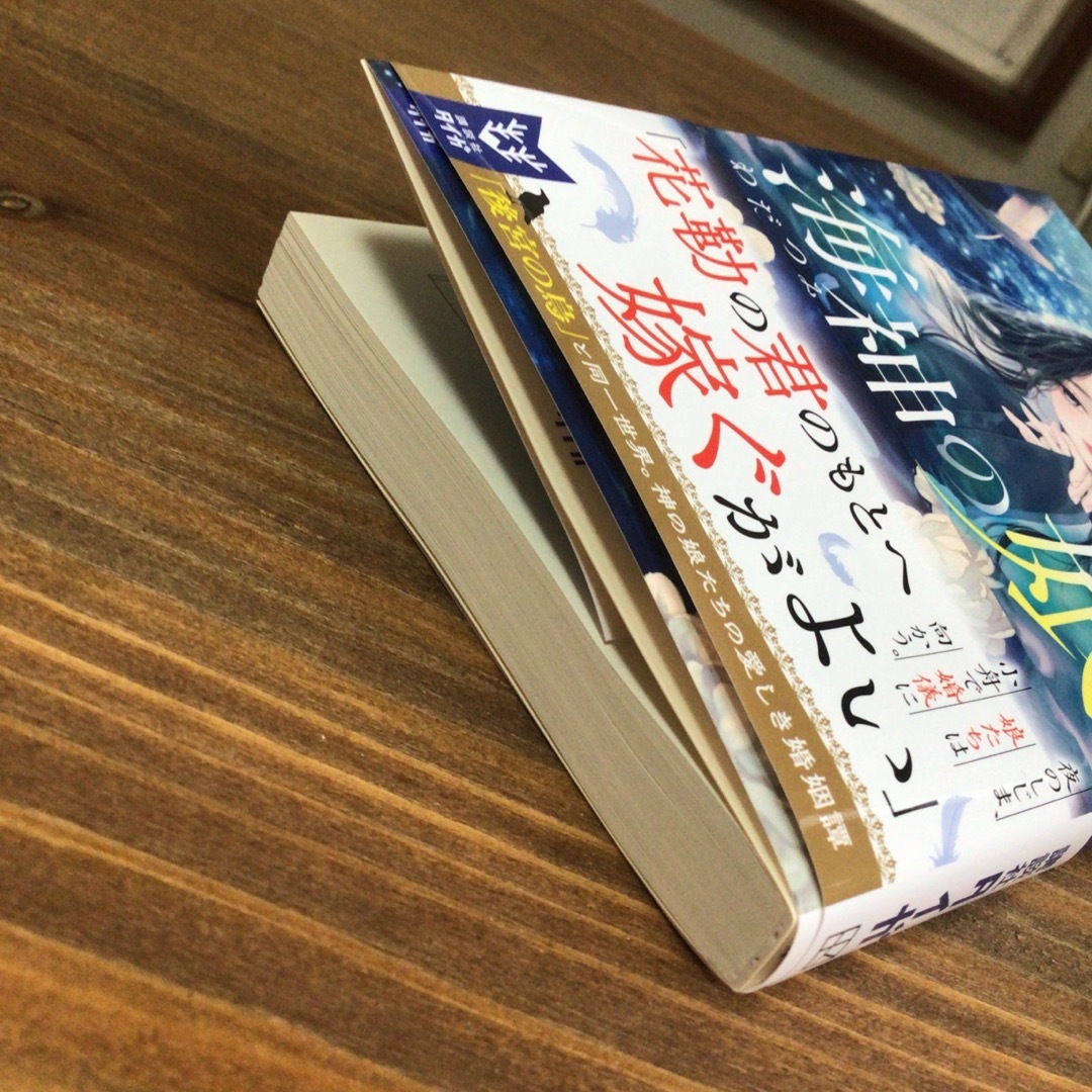 講談社(コウダンシャ)の海神の娘 エンタメ/ホビーの本(文学/小説)の商品写真