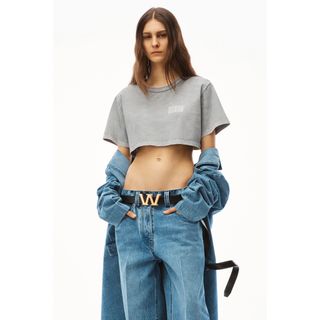 アレキサンダーワン(Alexander Wang)のアシッドウォッシュジャージー クロップtシャツ　S(Tシャツ(半袖/袖なし))