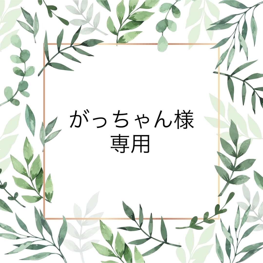 がっちゃん様専用 | フリマアプリ ラクマ
