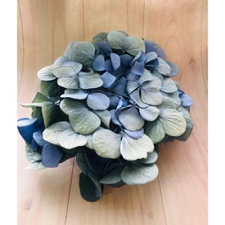 ＊　大きめ　サイズ　お買い得　ドライフラワー　花材　紫陽花　ブルー　ハンドメイド(ドライフラワー)