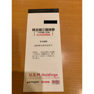 USM Holdings 株主優待券　3000円分(ショッピング)