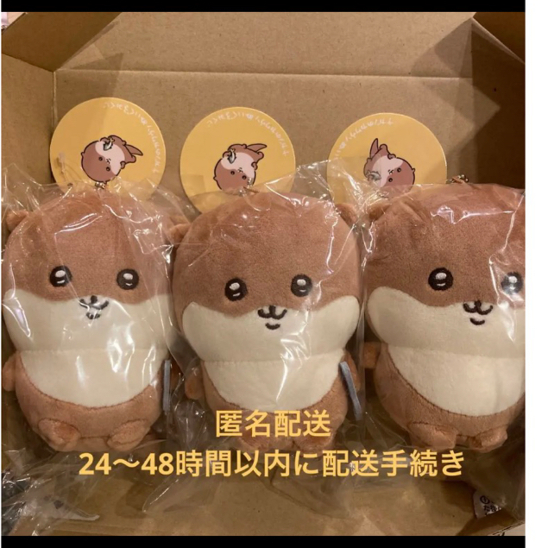 ナガノのカワウソぬいぐるみくじ D賞 3つセット - キャラクターグッズ
