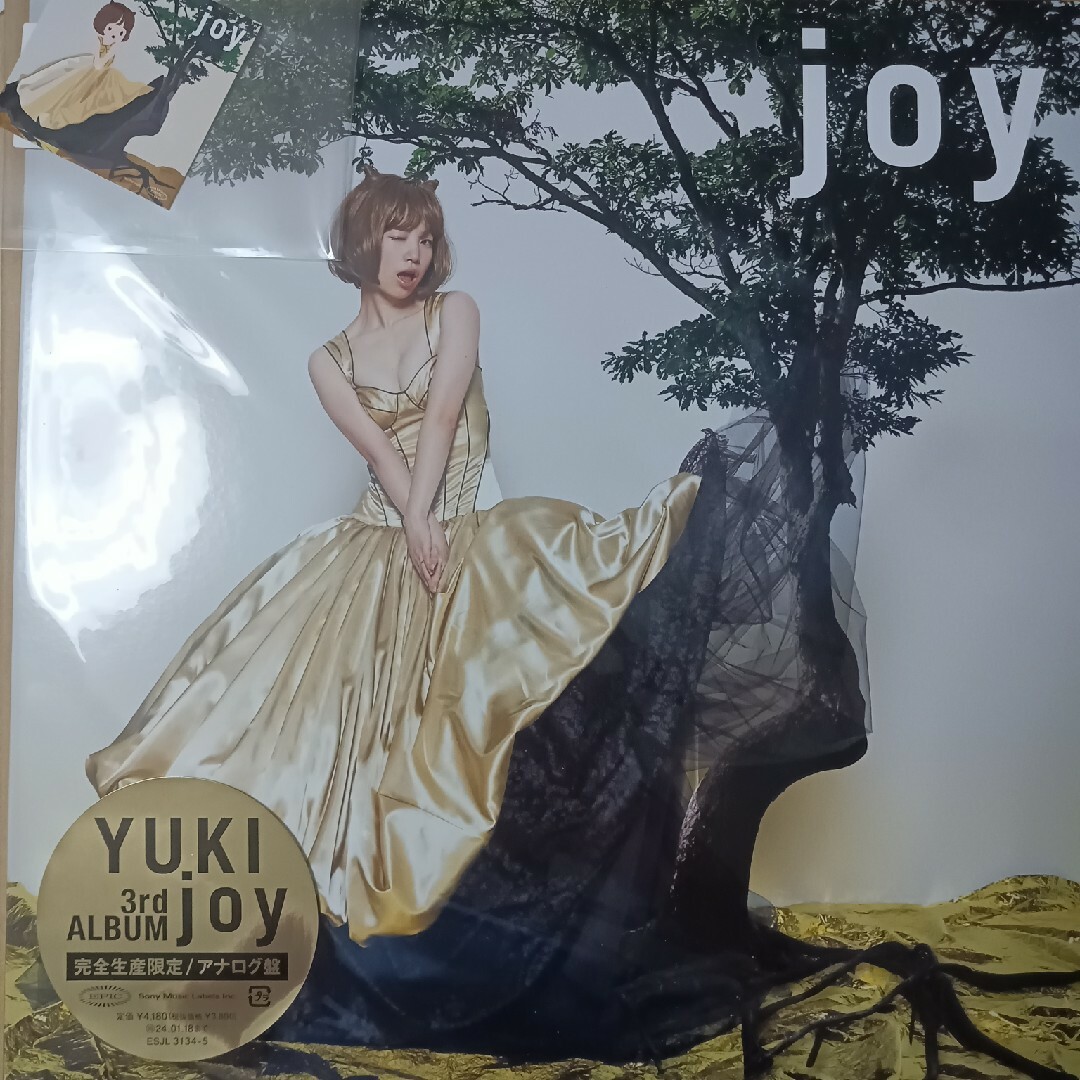 ｊｏｙレコード盤先着特典ステッカー付YUKI - その他