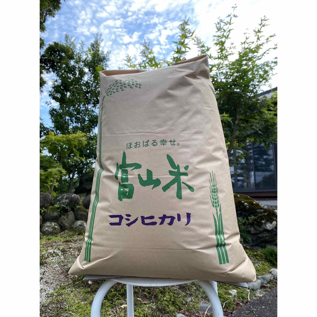 sirasuさま専用　富山県立山産こしひかり　精米20kg