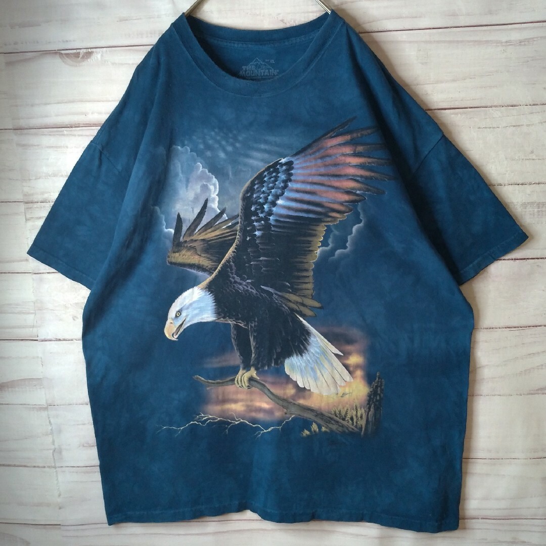 USA製 ザマウンテン タイダイ アニマルデザイン 鷹 ビッグサイズ Tシャツ メンズのトップス(Tシャツ/カットソー(半袖/袖なし))の商品写真