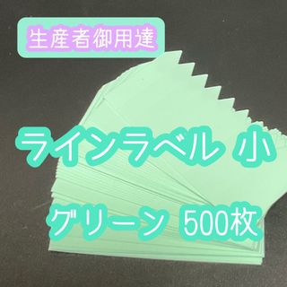 ラインラベル 小 緑 500枚 園芸カラーラベル 多肉植物 エケベリア(その他)