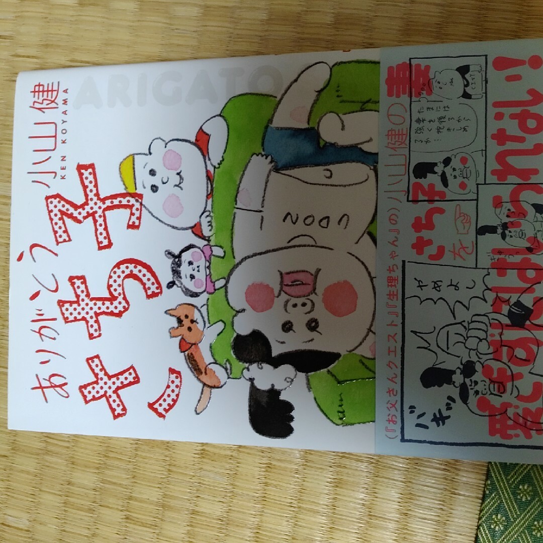 ありがとう さち子 小山健 エンタメ/ホビーの漫画(その他)の商品写真