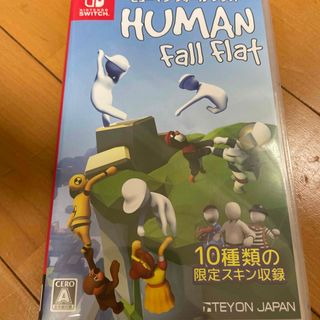 Human flat fall(家庭用ゲームソフト)